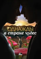 Однажды в стране чудес смотреть онлайн сериал 1 сезон